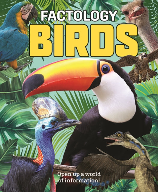 Factology Birds