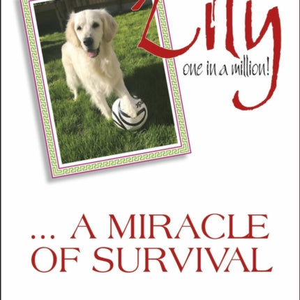 Lily: one in a million: A miracle of survival