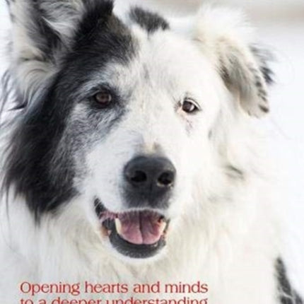 Letting in the dog: Opening hearts and minds to a deeper understanding