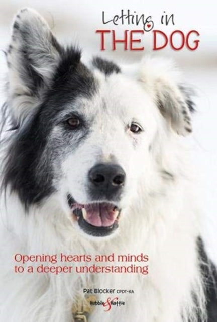 Letting in the dog: Opening hearts and minds to a deeper understanding