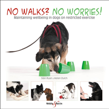 No walks? No worries!: Maintaining wellbeing in dogs on restricted exercise