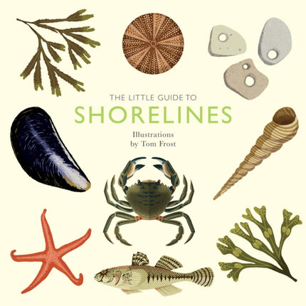 The Little Guide to Shorelines