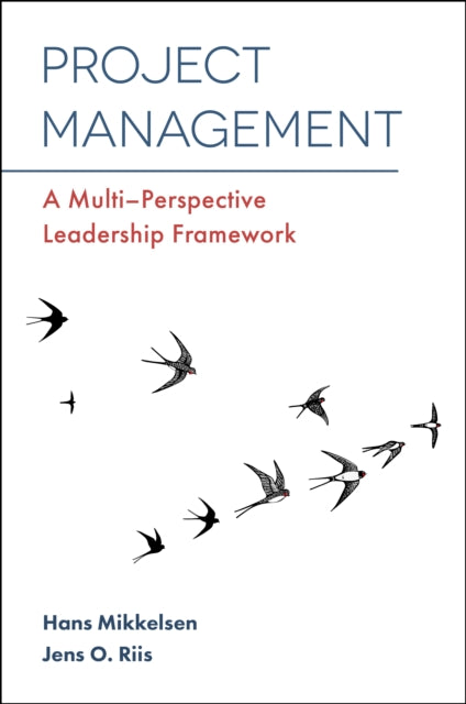 Project Management: A Multi-Perspective Leadership Framework