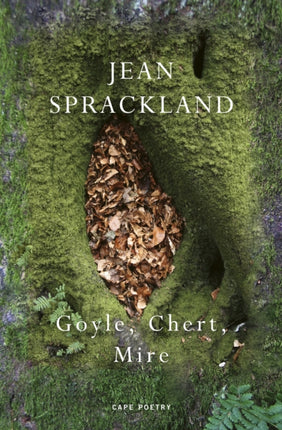 Goyle Chert Mire