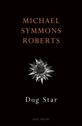 Dog Star