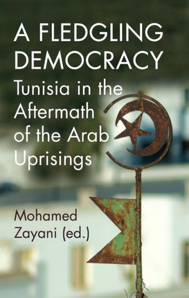 A Fledgling Democracy: Tunisia in the Aftermath