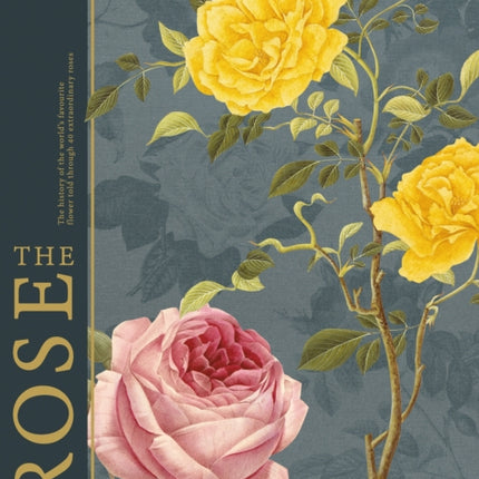 RHS The Rose: The history of the world's favourite flower in 40 roses