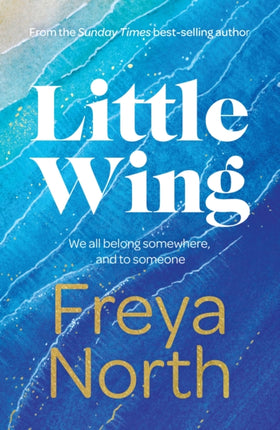 Little Wing: A beautifully written, emotional and heartwarming story