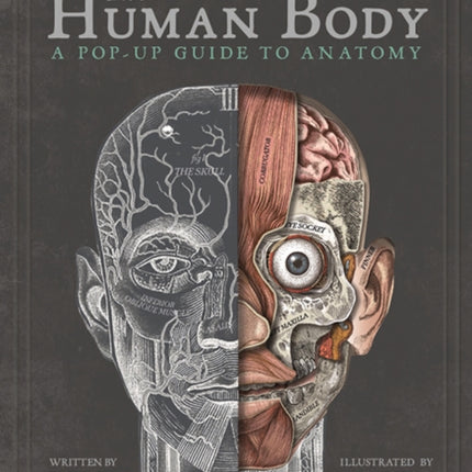 The Human Body: A Pop-Up Guide to Anatomy