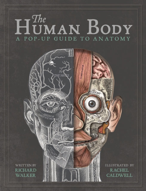 The Human Body: A Pop-Up Guide to Anatomy