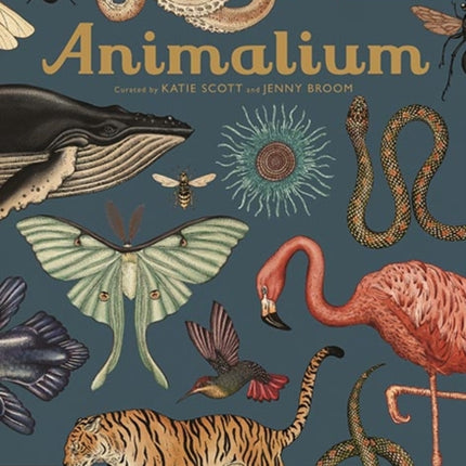 Animalium