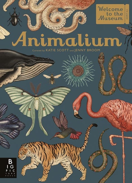 Animalium