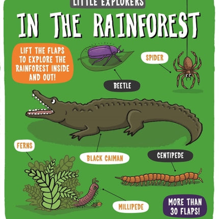 Little Explorers: In the Rainforest