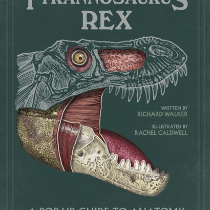 Tyrannosaurus rex: A Pop-Up Guide to Anatomy