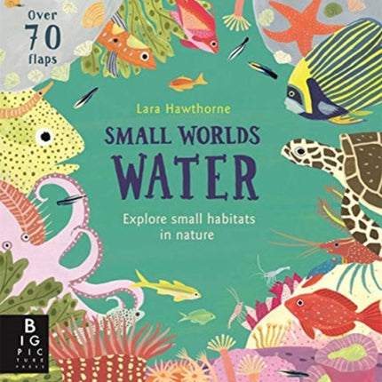 Small Worlds: Water