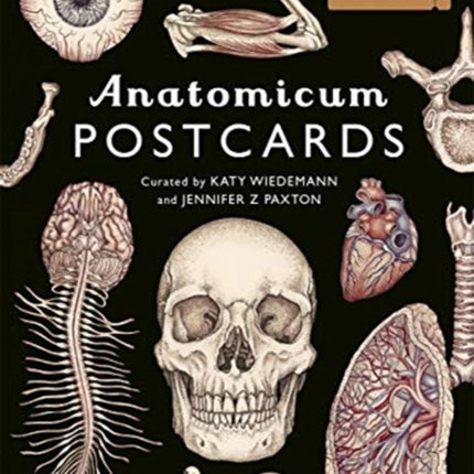 Anatomicum Postcard Box