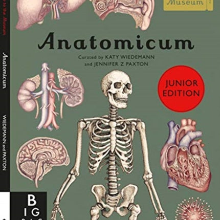 Anatomicum Junior