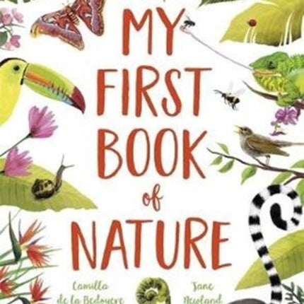 My First Book of Nature: With 4 sections and wipe-clean spotting cards