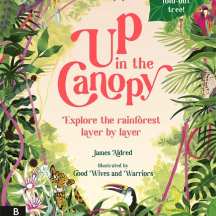 Up in the Canopy: Explore the Rainforest, Layer by Layer