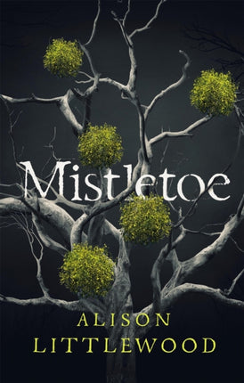 Mistletoe: 'The perfect read for frosty nights'