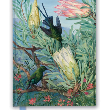 Kew Gardens' Marianne North: Honeyflowers and Honeysuckers (Foiled Journal)