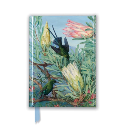 Kew Gardens' Marianne North: Honeyflowers and Honeysuckers (Foiled Pocket Journal)