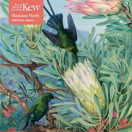 Adult Jigsaw Puzzle Kew Gardens Marianne North Honeyflowers and Honeysuckers