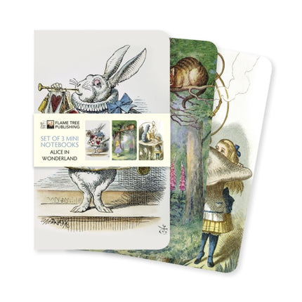 Alice in Wonderland Set of 3 Mini Notebooks