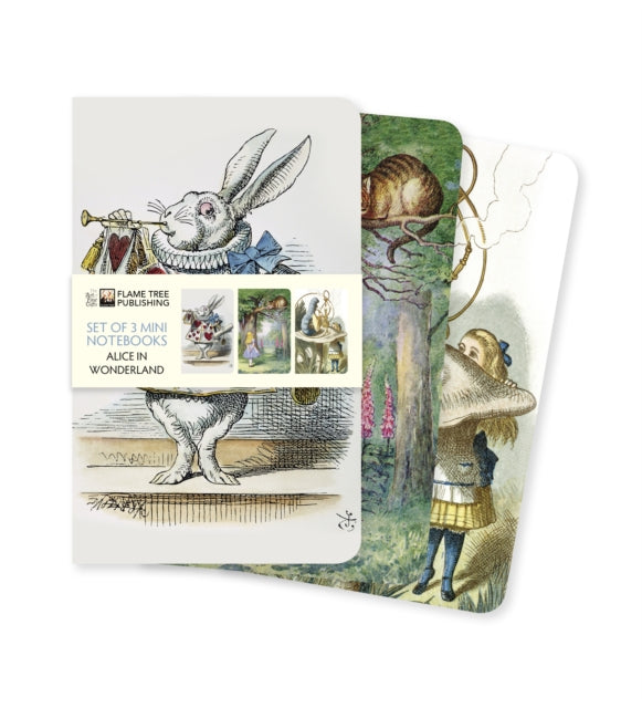 Alice in Wonderland Set of 3 Mini Notebooks