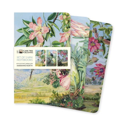 Kew Gardens' Marianne North Set of 3 Mini Notebooks