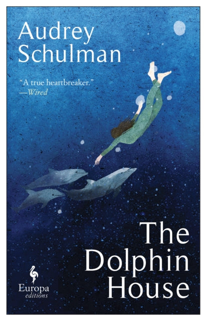 The Dolphin House: A moving novel on connection and community