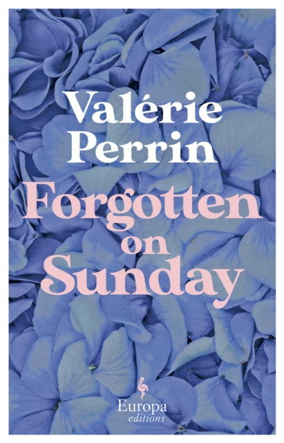 Forgotten on Sunday: From the million copy bestselling author of Fresh Water for Flowers