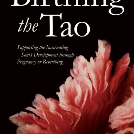 Birthing the Tao: Supporting the Incarnating Soul's Development through Pregnancy or Rebirthing