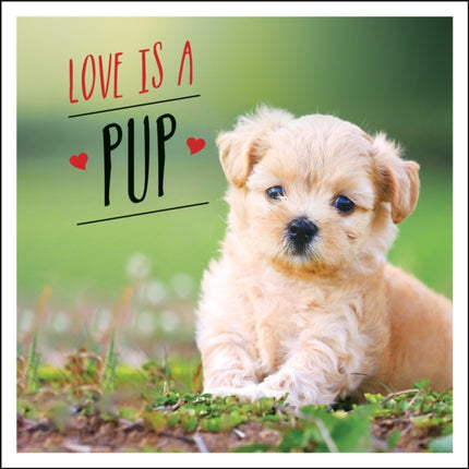 Love is a Pup: A Dog-Tastic Celebration of the World's Cutest Puppies