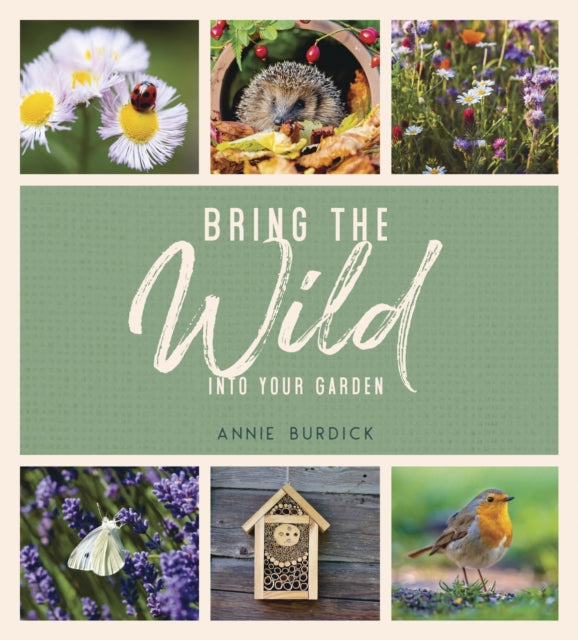 Bring the Wild into Your Garden: Simple Tips for Creating a Wildlife Haven