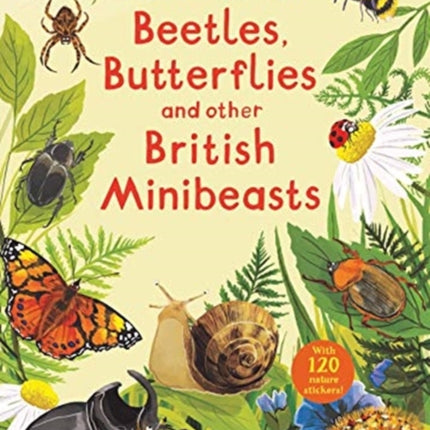 National Trust: Beetles, Butterflies and other British Minibeasts