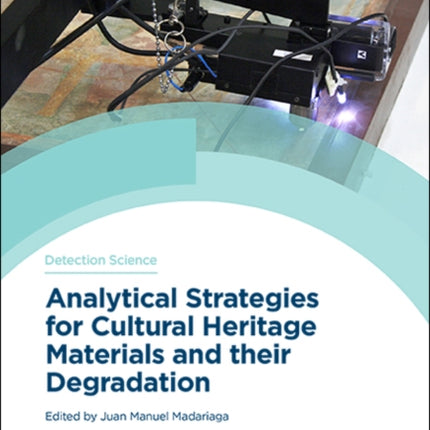 Analytical Strategies for Cultural Heritage Materials and their Degradation