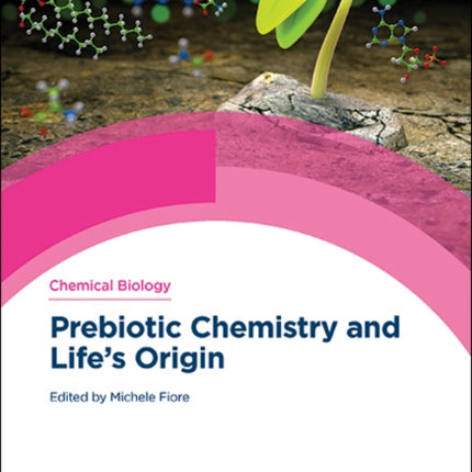 Prebiotic Chemistry and Life's Origin