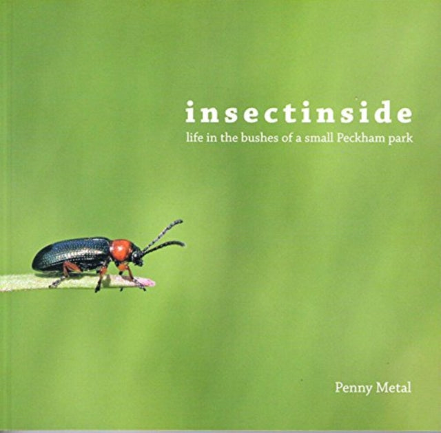 Insectinside: Life in the Bushes of a Small Peckham Park