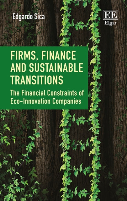 Firms, Finance and Sustainable Transitions: The