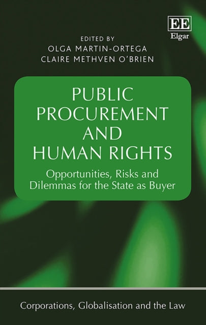 Public Procurement and Human Rights:
