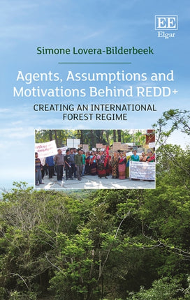 Agents, Assumptions and Motivations Behind REDD+: Creating an International Forest Regime