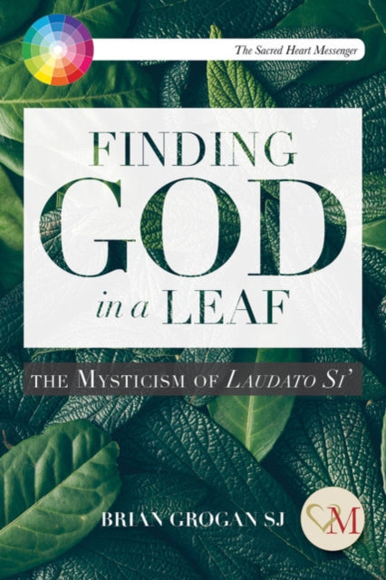 Finding God in a Leaf: The Mysticism of Laudato Si'