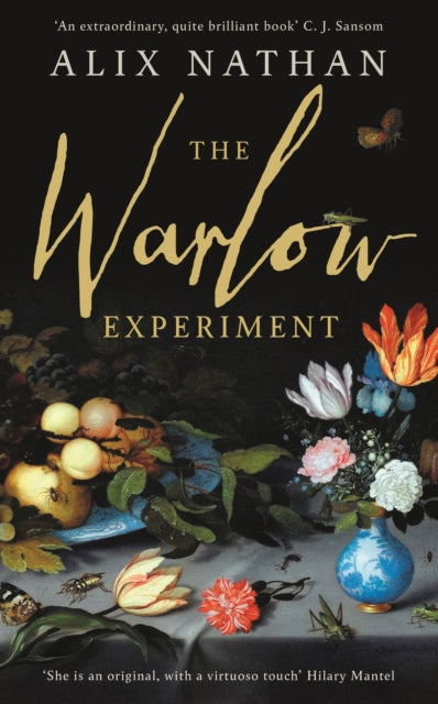 The Warlow Experiment