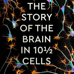 Collection image for: Cellular and molecular neuroscience Books