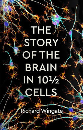 The Story of the Brain in 10½ Cells