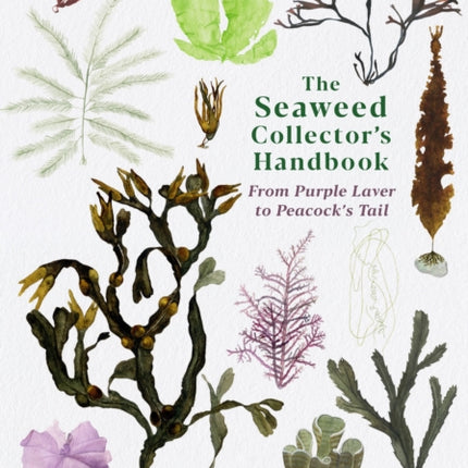 The Seaweed Collector's Handbook: From Purple Laver to Peacock’s Tail