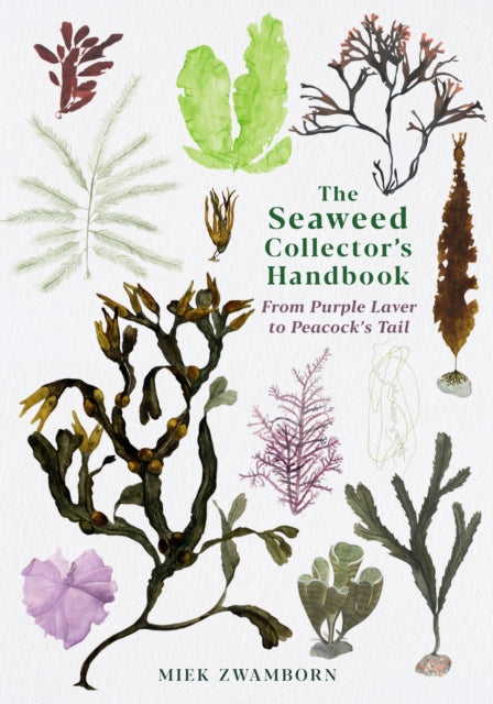 The Seaweed Collector's Handbook: From Purple Laver to Peacock’s Tail