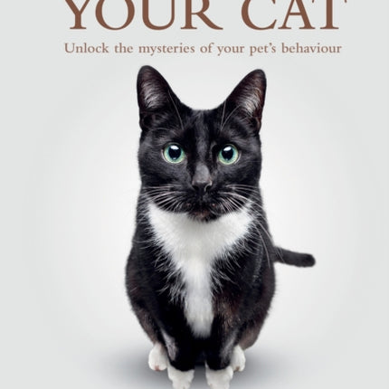 The Secret Life Of Your Cat