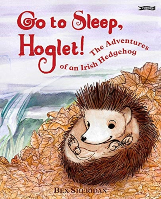 Go To Sleep, Hoglet